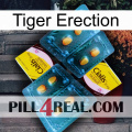 Tiger Erection cialis5